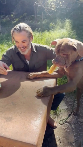 Illustration de l'article : L'acteur Chris Pine ouvre les portes de son foyer à 2 chiens de refuge pour les aider à prendre un nouveau départ