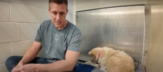 Illustration de l'article : Ce sauveteur reconnu a usé de sa "magie" pour aider cette chienne de refuge méfiante à l'égard des humains et même de son premier jouet