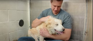 Illustration de l'article : Ce sauveteur reconnu a usé de sa "magie" pour aider cette chienne de refuge méfiante à l'égard des humains et même de son premier jouet