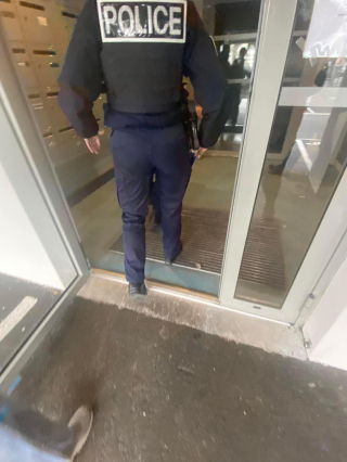 Illustration de l'article : Déterminé à sauver les animaux, un jeune de 18 ans consacre une partie de son temps à gérer des enquêtes contre la maltraitance animale
