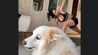 Illustration de l'article : Pour sa maîtresse, ce petit croisé Spitz était un coach fitness dans un autre vie (vidéo)
