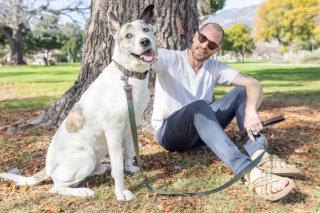 Illustration de l'article : Grâce à la technologie et à une famille bienveillante, Josh le chien retrouve son propriétaire