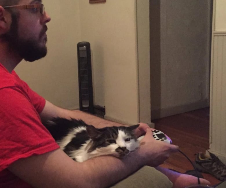 Illustration de l'article : 13 animaux de compagnie qui savent s’y prendre pour attirer l’attention de leurs propriétaires