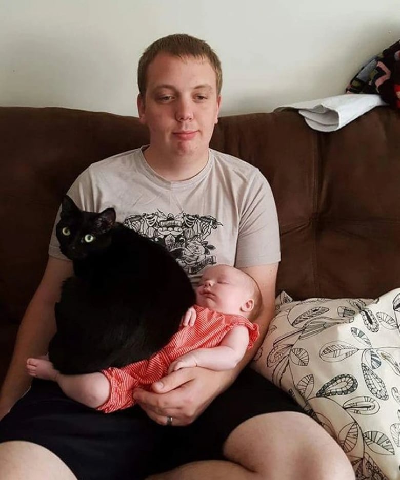 Illustration de l'article : 13 animaux de compagnie qui savent s’y prendre pour attirer l’attention de leurs propriétaires