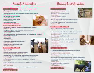 Illustration de l'article : Le second volet de la Pet Revolution, le congrès international dédié aux animaux de compagnie, se déroulera en ligne les 7 et 8 décembre 2024