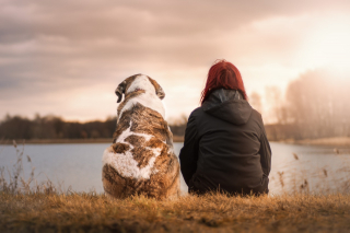 Illustration de l'article : 10 raisons pour lesquelles votre chien est le plus heureux lorsqu’il est auprès de vous