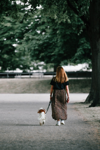 Illustration de l'article : 10 raisons pour lesquelles votre chien est le plus heureux lorsqu’il est auprès de vous