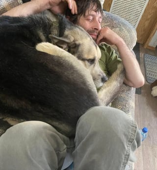 Illustration de l'article : 10 photos de chats et de chiens qui éclaireront votre journée