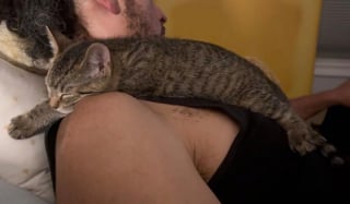 Illustration de l'article : Grâce à sa famille d'accueil, une chatte aveugle rencontre sa meilleure amie pour la vie et trouve le bonheur