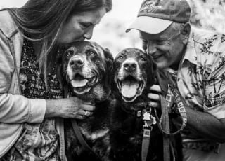 Illustration de l'article : 16 photos montrant l’amour incommensurable entre des propriétaires et leur chat ou leur chien