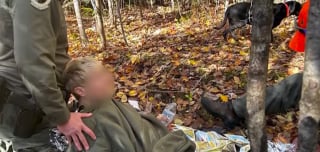 Illustration de l'article : Un chien loyal a aidé sa maîtresse à garder le moral alors qu'elle était perdue et seule dans des conditions glaciales en forêt