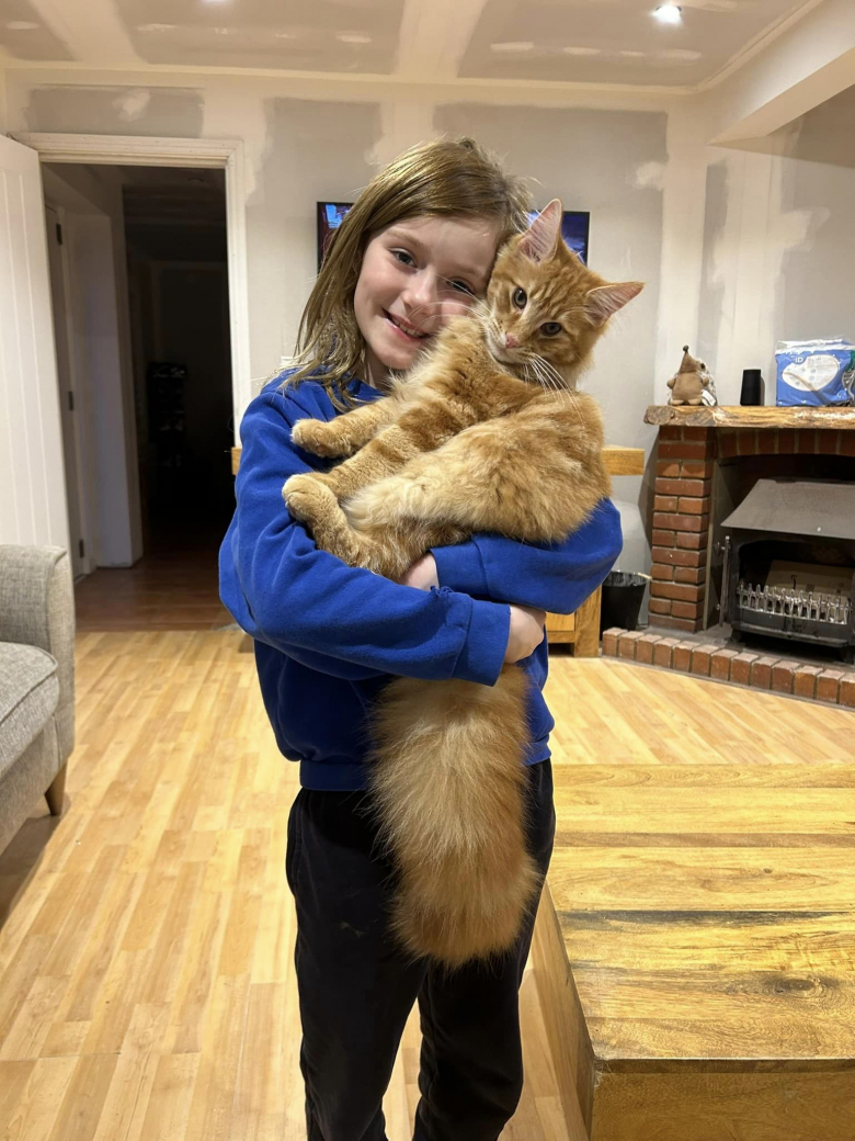 Illustration de l'article : Le chat d’une fillette retrouve enfin le chemin de son foyer après avoir disparu pendant 10 semaines 