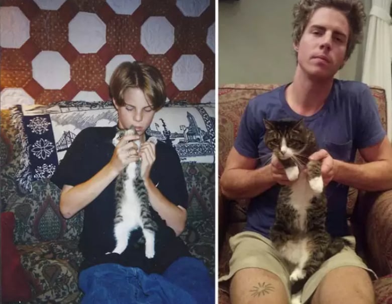 Illustration de l'article : 16 photos dévoilant les évolutions adorables de certains chats