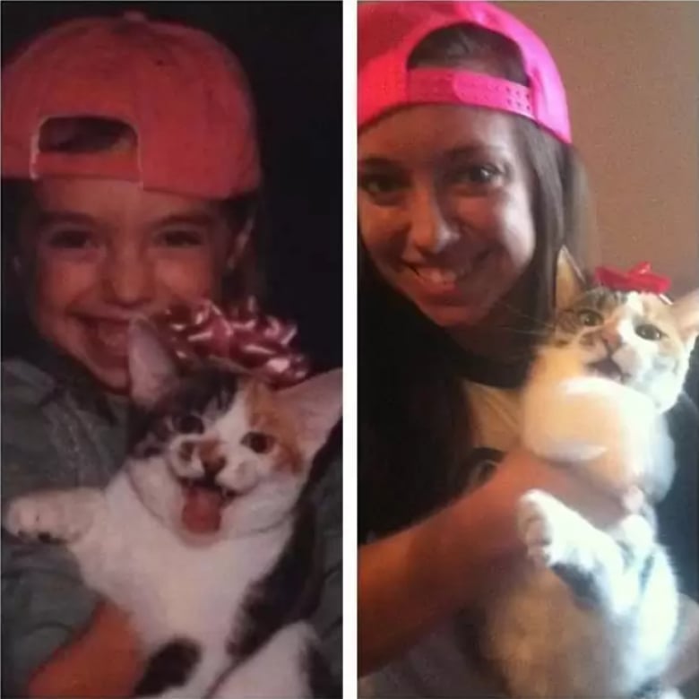 Illustration de l'article : 16 photos dévoilant les évolutions adorables de certains chats