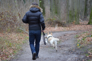 Illustration de l'article : 14 astuces pour que votre chien soit détendu chez le toiletteur