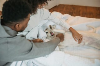 Illustration de l'article : 9 façons de dire à vos chiens que vous les aimez dans leur propre langue