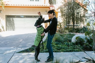 Illustration de l'article : 9 façons de dire à vos chiens que vous les aimez dans leur propre langue