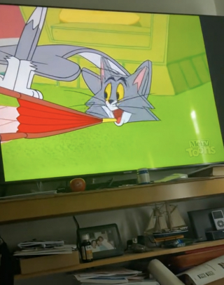 Illustration de l'article : Installé devant Tom et Jerry, ce bébé chien vit le moment comme un enfant devant son premier film (vidéo)