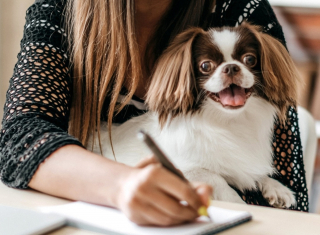 Illustration de l'article : Chien au travail : DoggyWorky lance une enquête nationale inédite pour mieux comprendre et améliorer cette pratique et a besoin de votre avis