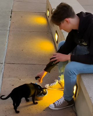 Illustration de l'article : Promis à l’euthanasie en raison de son agressivité, ce petit chien retrouve l’espoir d’un avenir meilleur grâce à son papa d’accueil (vidéo)