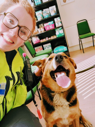 Illustration de l'article : Égaré sur une autoroute, ce chien de ferme en danger est sauvé in extremis par deux policiers dévoués