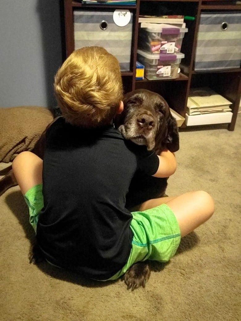 Illustration de l'article : 20 photos de chiens qui prouvent que nos toutous ont un don inné pour nous faire rire