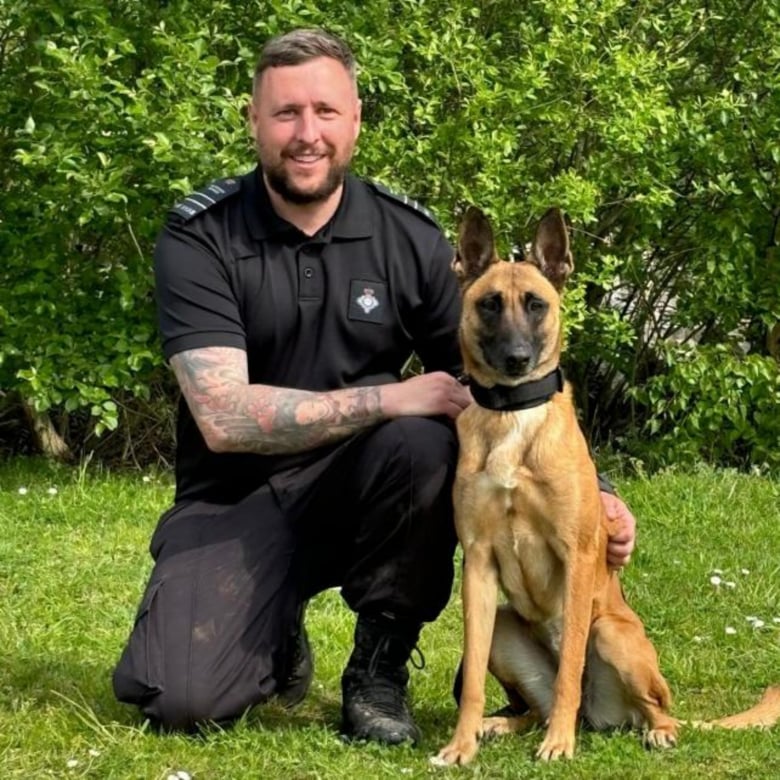 Illustration de l'article : Délaissée par son propriétaire, cette chienne découvre sa vocation de gardienne de prison grâce à ses bienfaiteurs