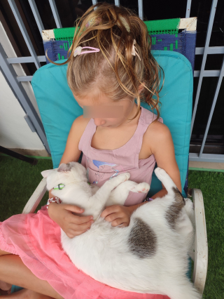 Illustration de l'article : La magnifique histoire d'amitié née à l'étranger entre un chaton et une fillette change la vie du félin et résiste à de multiples rebondissements