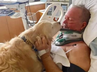 Illustration de l'article : 15 photos prouvant que les chiens sont une source inépuisable d'amour et de joie