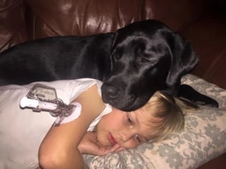Illustration de l'article : 15 photos prouvant que les chiens sont une source inépuisable d'amour et de joie