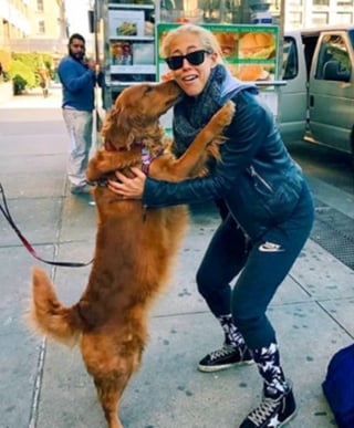 Illustration de l'article : 15 photos prouvant que les chiens sont une source inépuisable d'amour et de joie