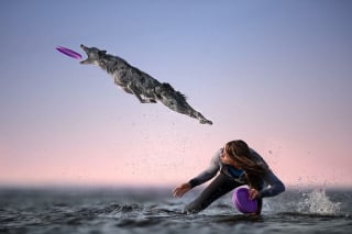 Illustration de l'article : 18 clichés canins d'exception présentés lors d'un concours photo et célébrant la beauté du chien