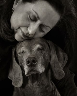 Illustration de l'article : 18 clichés canins d'exception présentés lors d'un concours photo et célébrant la beauté du chien