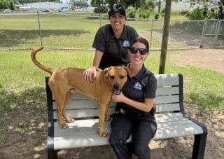 Illustration de l'article : 2 agentes portant secours à un chien attaché à un lampadaire reconnaissent celui qu'elles tentaient de protéger des coups de son maître depuis un mois