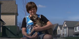 Illustration de l'article : Disparue pendant plus d’une semaine, cette adorable chienne est retrouvée par un enfant de 10 ans