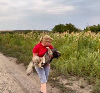 Illustration de l'article : Un chien, dont toute la famille est décédée, reprend goût à la vie grâce à une rencontre qui a changé son existence (vidéo) 