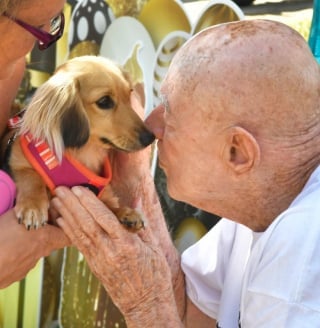 Illustration de l'article : Cet amoureux des chiens n’en a jamais eu, mais pour ses 95 ans, tout un quartier lui offre une parade canine surprise