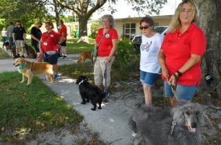 Illustration de l'article : Cet amoureux des chiens n’en a jamais eu, mais pour ses 95 ans, tout un quartier lui offre une parade canine surprise
