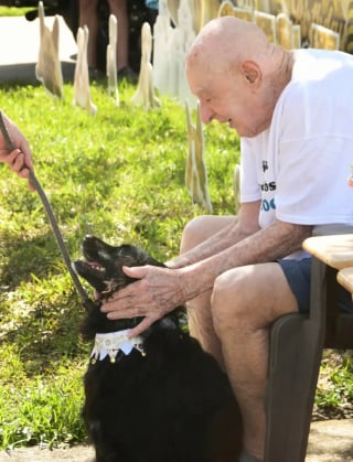 Illustration de l'article : Cet amoureux des chiens n’en a jamais eu, mais pour ses 95 ans, tout un quartier lui offre une parade canine surprise