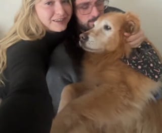 Illustration de l'article : Les propriétaires dévoués de ce chien sénior l'emmènent dans road trip de 7000 km pour lui faire vivre des vacances mémorables (vidéo)