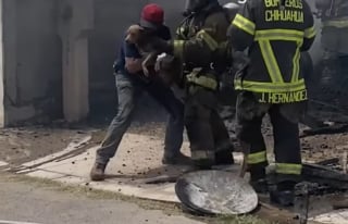 Illustration de l'article : L'émotion intense d'un homme retrouvant sa chienne gestante qu'il croyait perdue dans l'incendie de sa maison (vidéo)