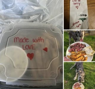 Illustration de l'article : Pour son dernier repas, un chien mourant reçoit un steak préparé avec amour par les employés d’un restaurant plein de compassion