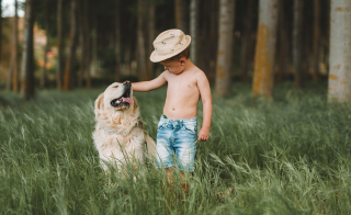 Illustration de l'article : 15 informations au sujet des chiens pour que vous les aimiez encore plus