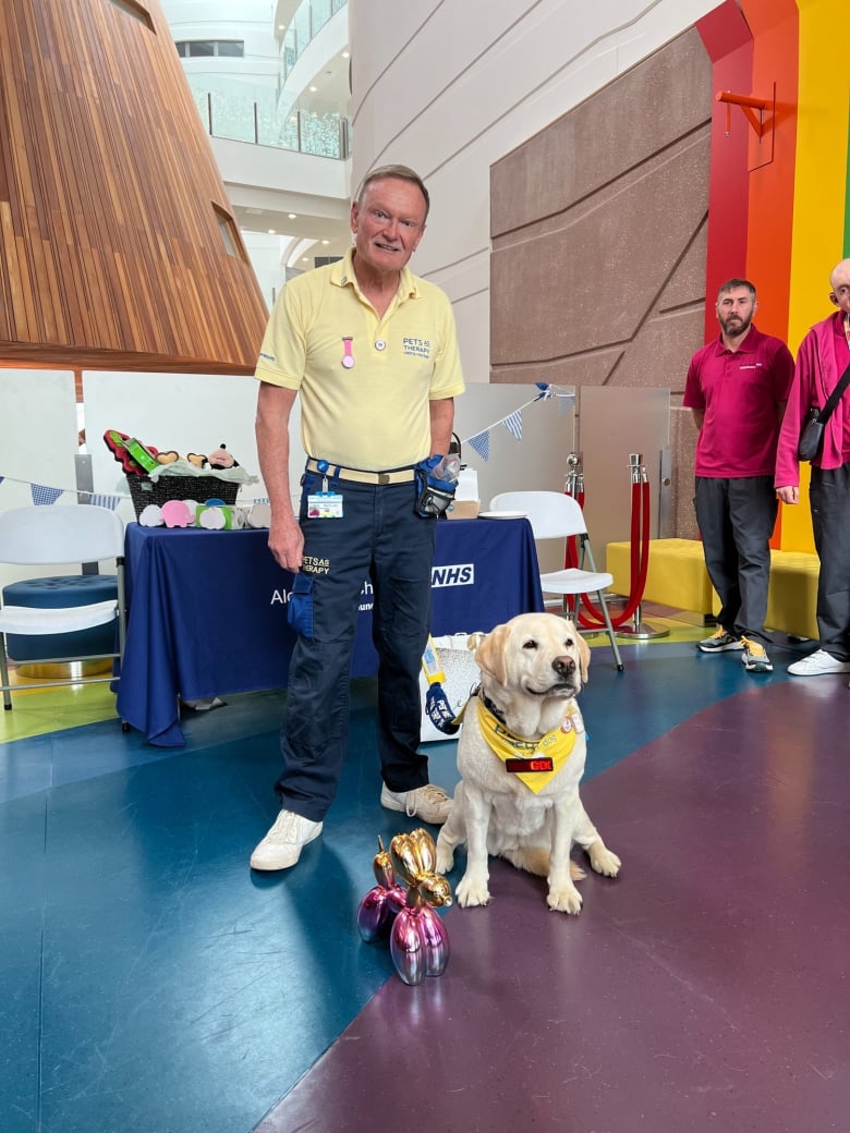 Illustration de l'article : Une chienne de thérapie célèbre son départ à la retraite après 8 années de bons et loyaux services