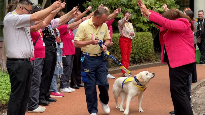 Illustration de l'article : Une chienne de thérapie célèbre son départ à la retraite après 8 années de bons et loyaux services