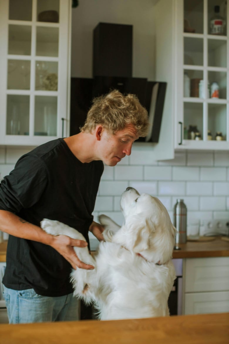 Illustration de l'article : Un homme écourte son rendez-vous galant lorsque son invité lui demande de faire sortir son chien