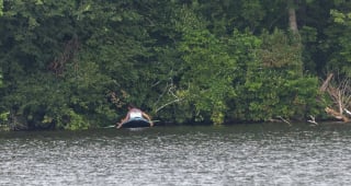 Illustration de l'article : "On pensait ne plus jamais le revoir", un pêcheur en kayak entend des aboiements étouffés et sauve un chien pris au piège dans un lac