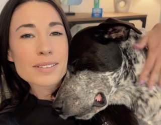 Illustration de l'article : « Merci de m'avoir sauvé et aimé », un chien promis à l’euthanasie réagit avec tendresse à chaque fois qu’on lui dit « Je t’aime » (vidéo)