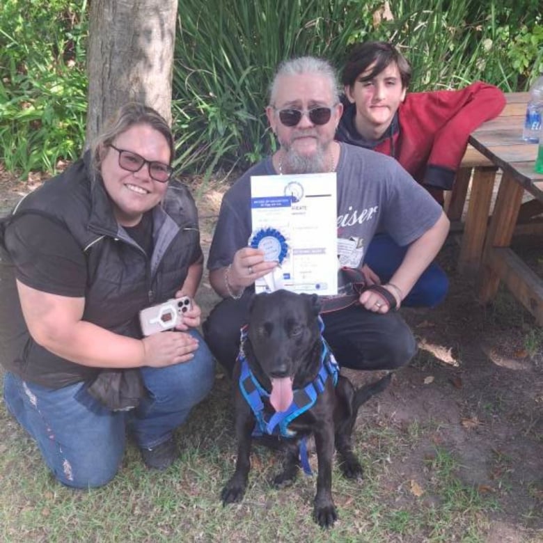 Illustration de l'article : Ce Labrador devient un véritable chien d’assistance après avoir détecté les symptômes de la maladie d’un enfant