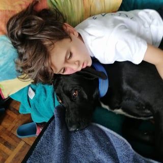 Illustration de l'article : Ils comprennent que leur chien a un don après avoir découvert la maladie de leur enfant